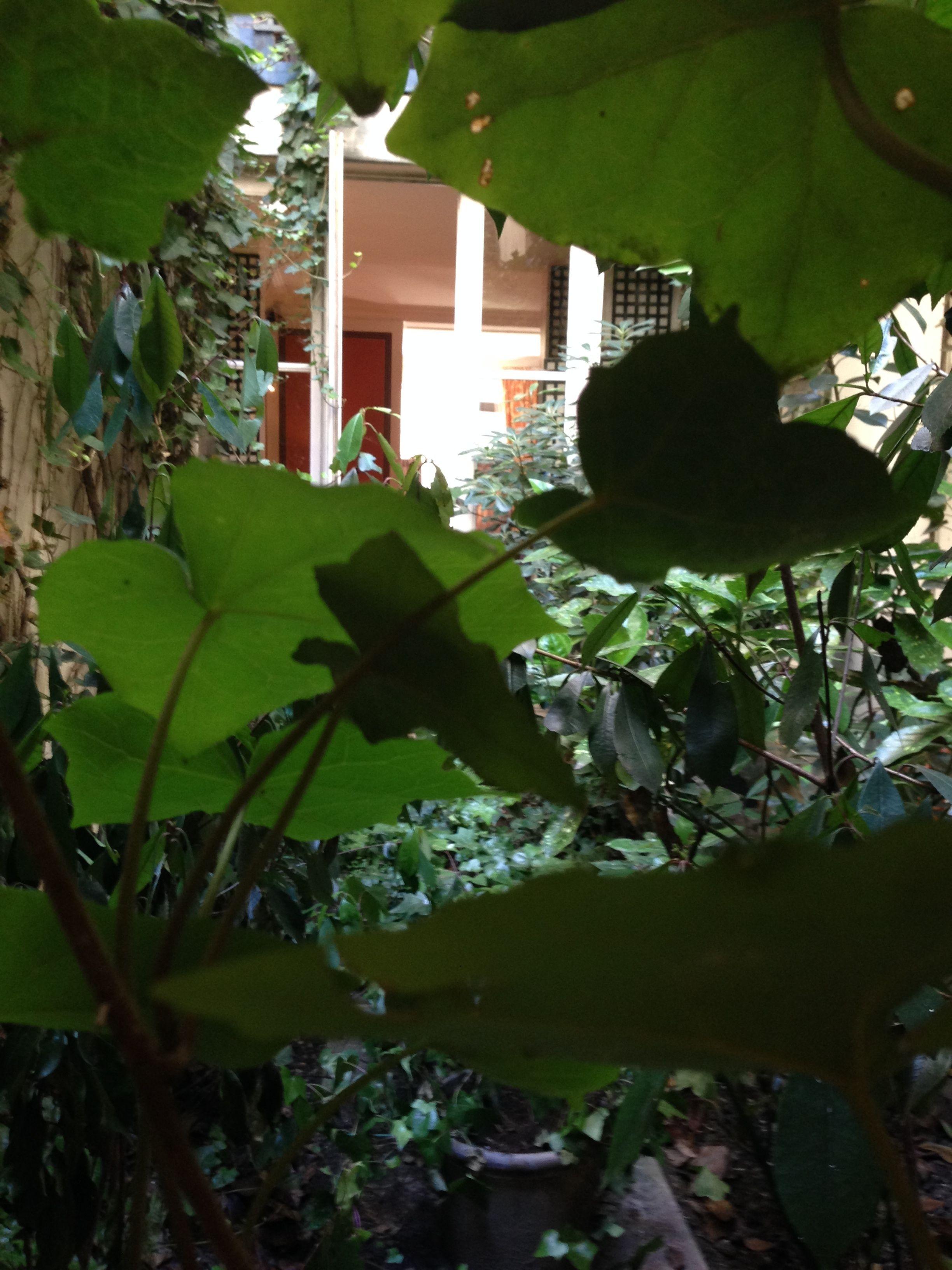 Hotel Le Saint Gregoire